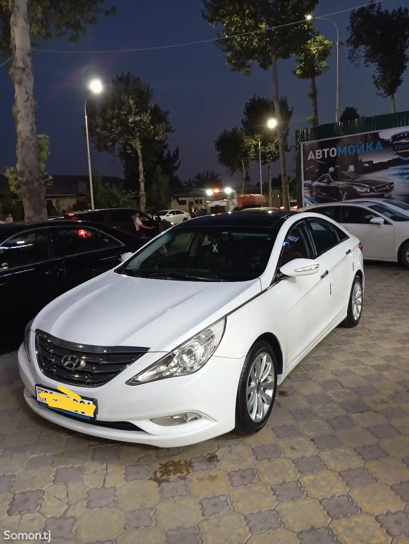 Hyundai Sonata, 2010-1