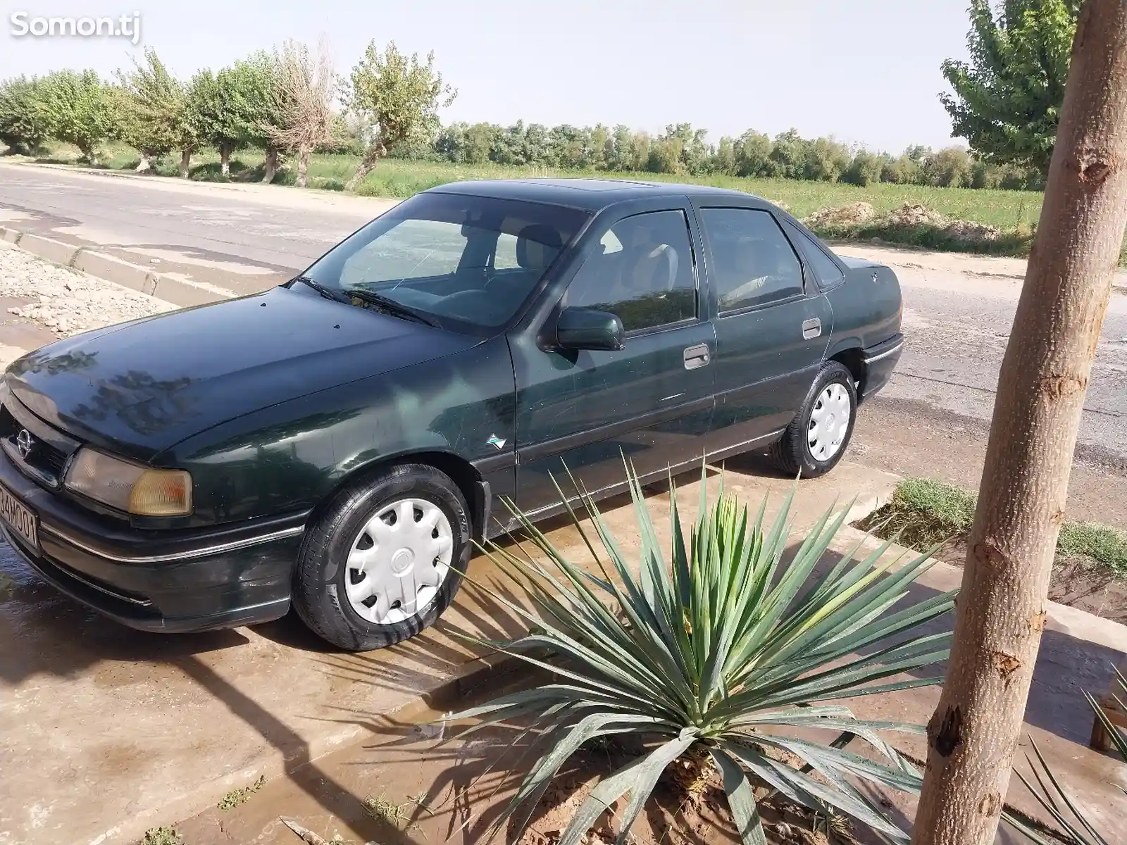 Opel Vectra A, 1995-6