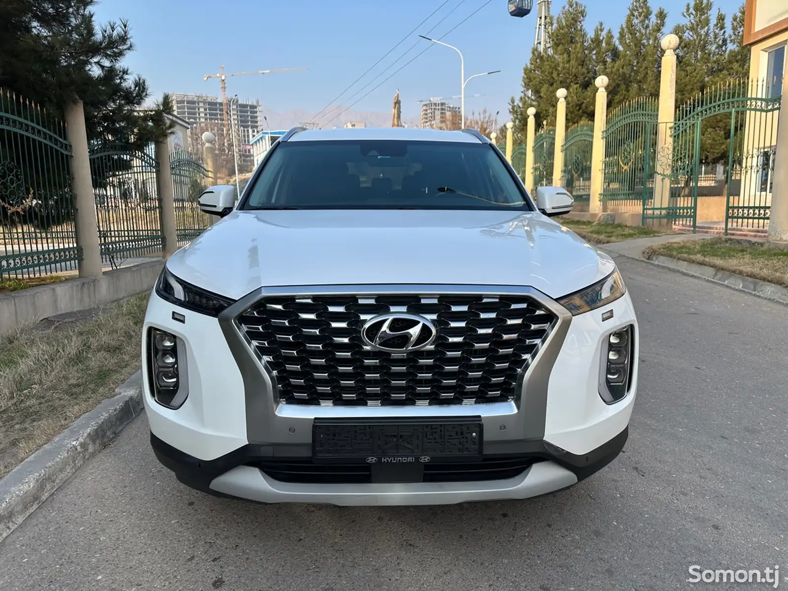 Hyundai Palisade, 2020-1