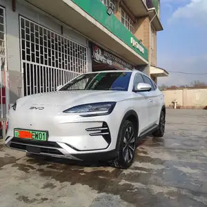 BYD Song Plus Flagship, 2024