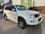 Toyota Land Cruiser Prado, 2008-3