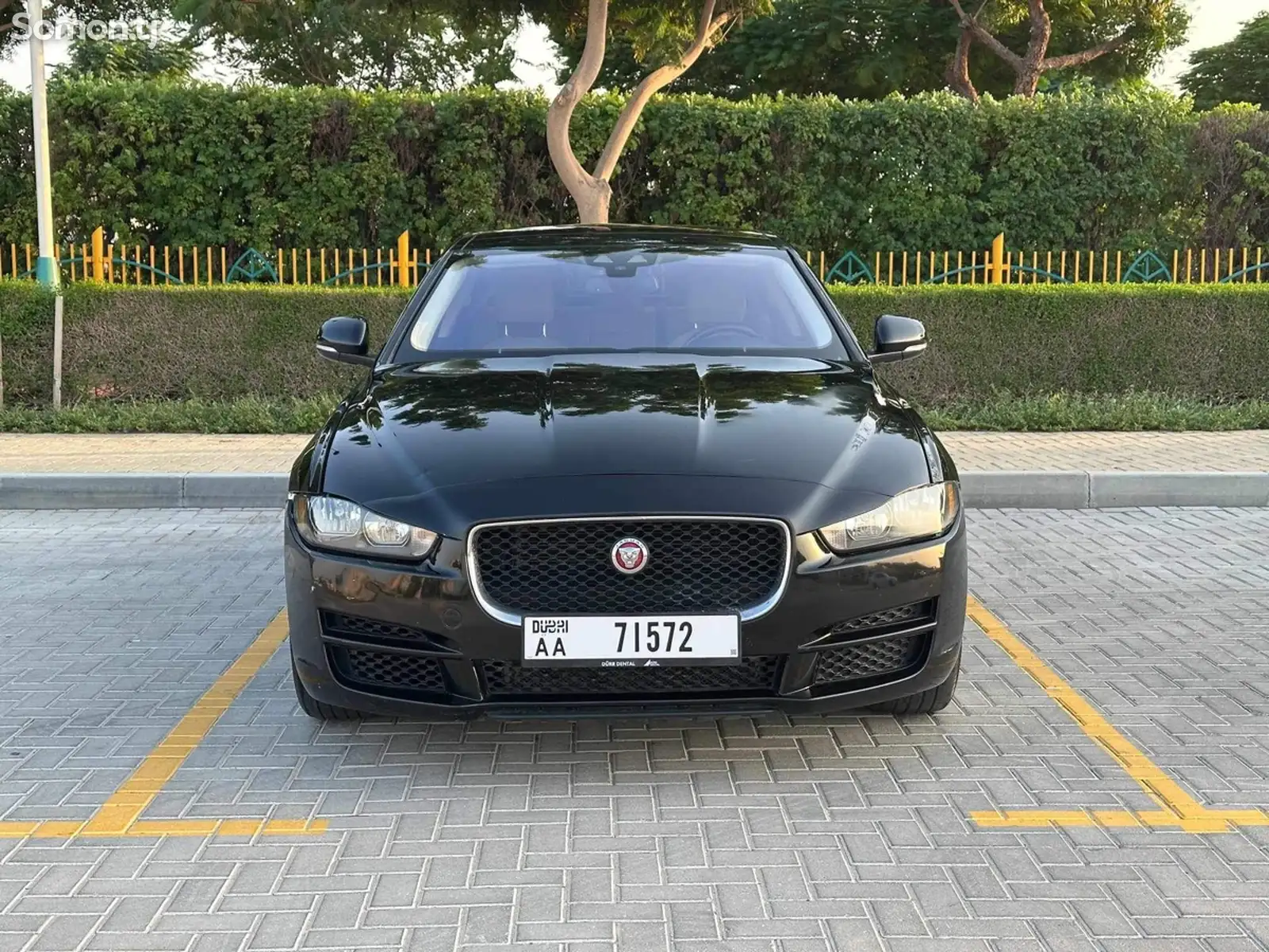 Jaguar, 2017-1