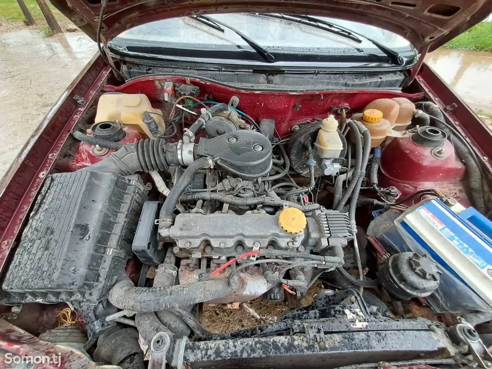 Opel Astra F, 1991-5