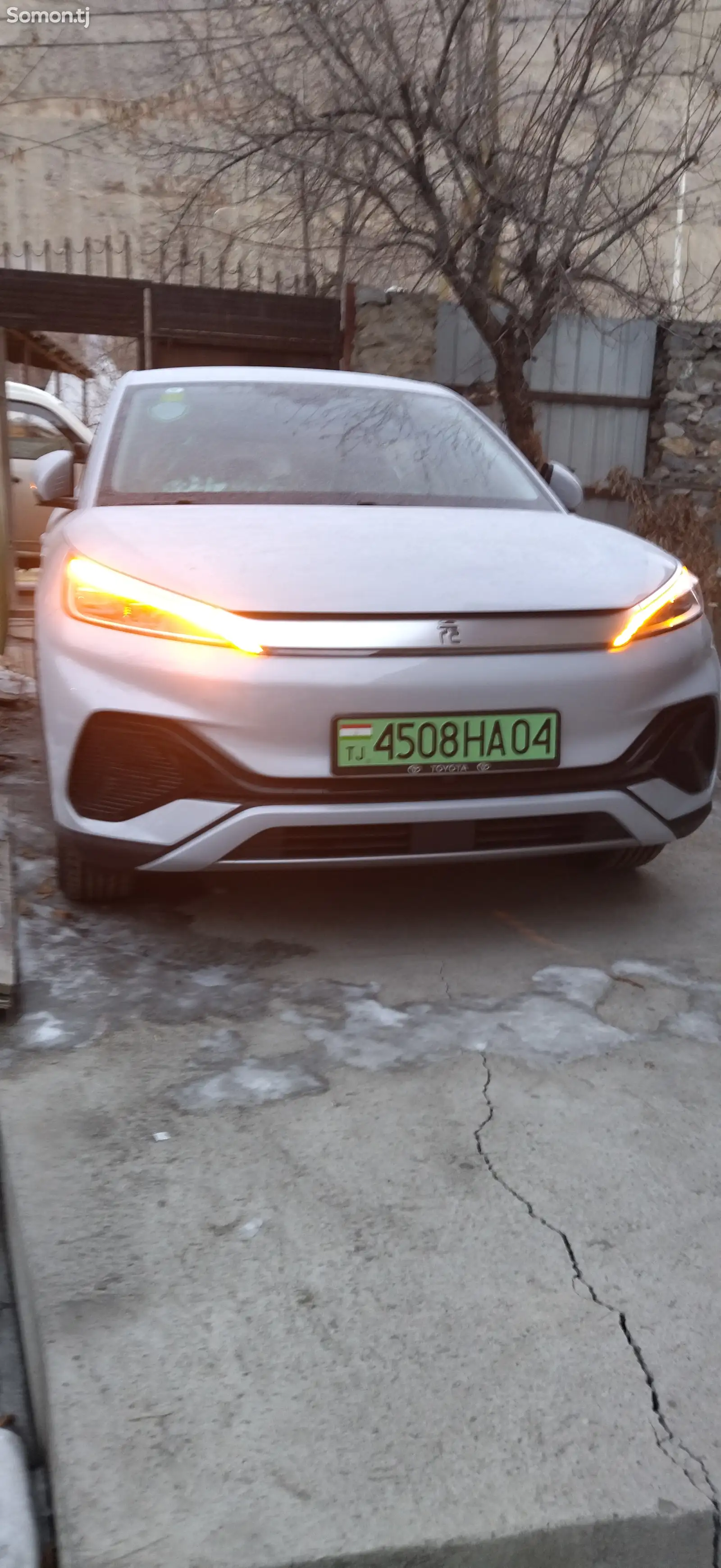 BYD Yuan Plus, 2024-1