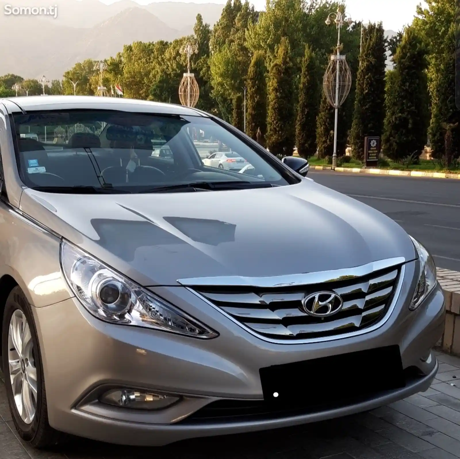 Hyundai Sonata, 2010-1