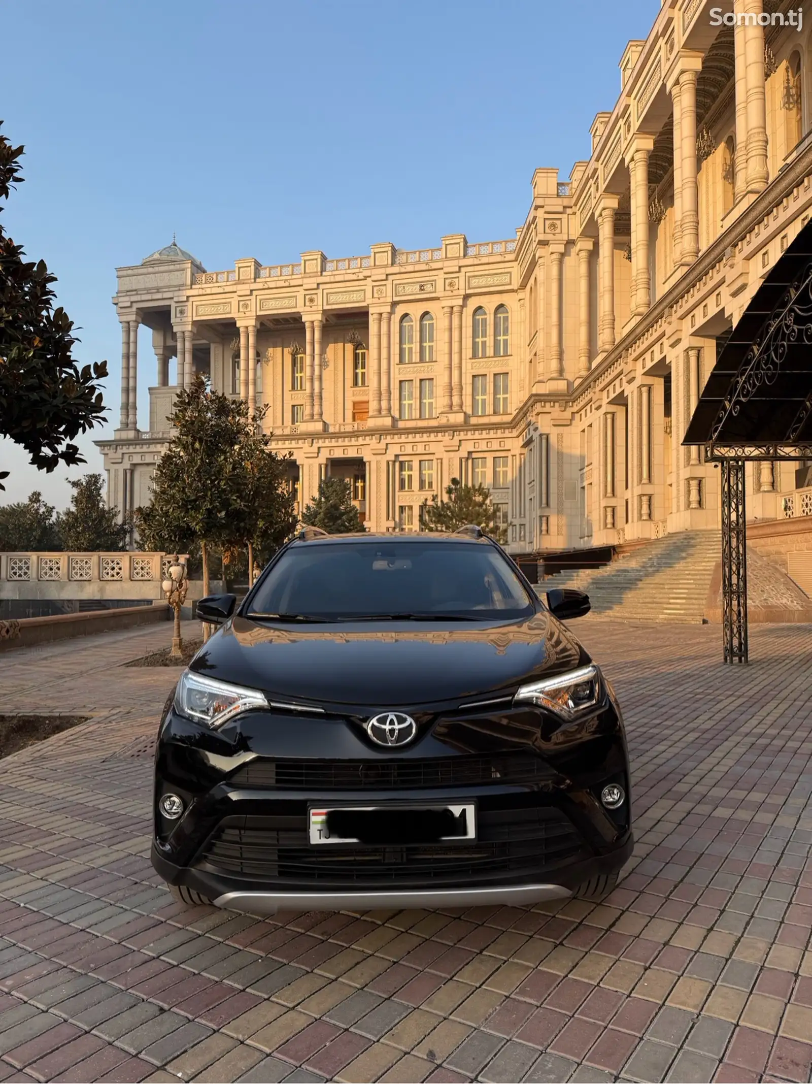 Toyota RAV 4, 2019-1