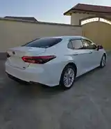 Toyota Camry, 2019-3