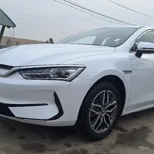 BYD Qin Plus, 2024