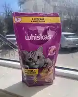 Whiskas Хрустящие подушечки-2