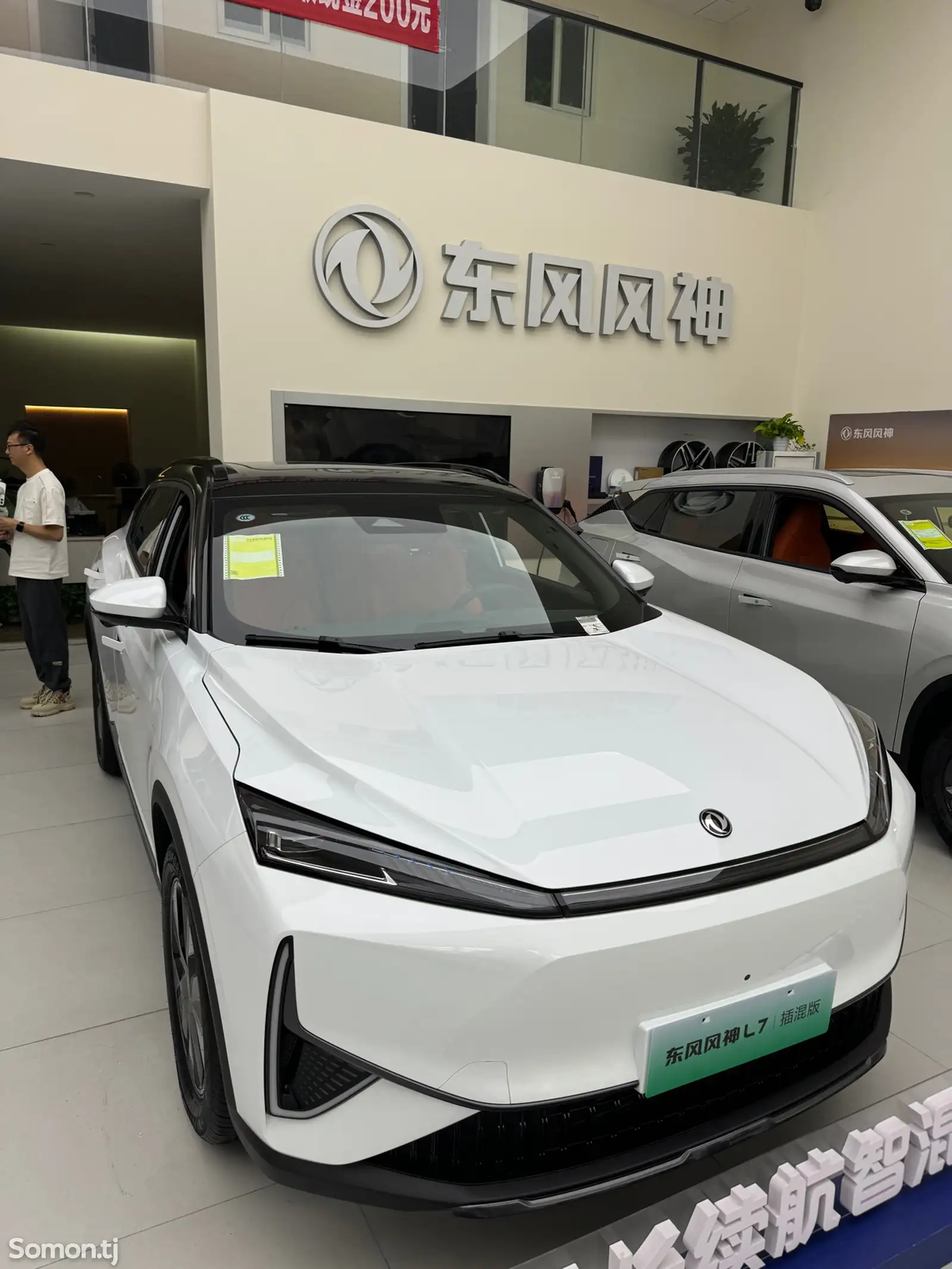 Dongfeng Landian E5, 2024-3