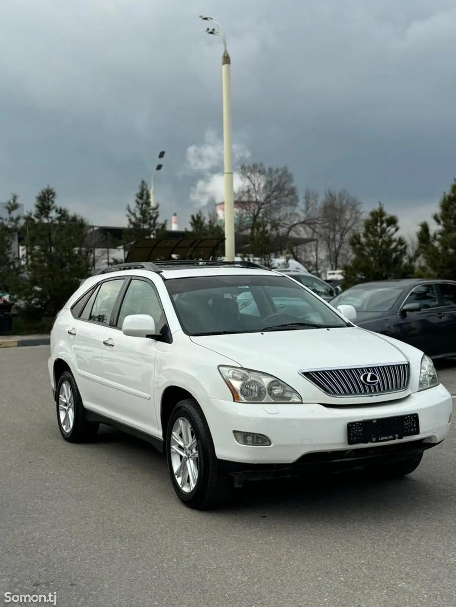 Lexus RX series, 2006-1