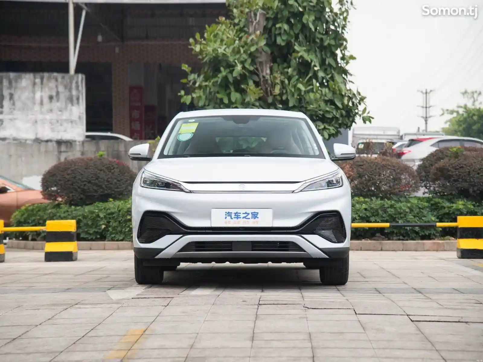 BYD Yuan Plus, 2024-2