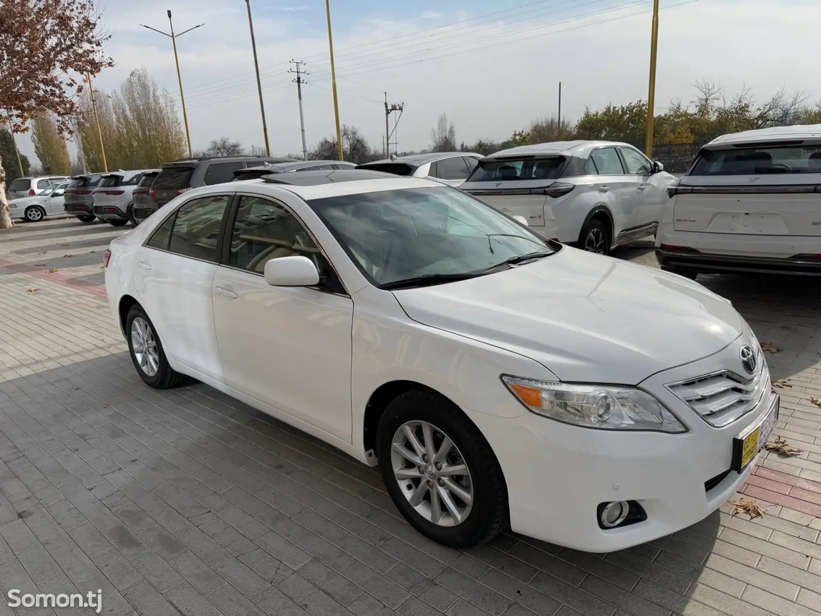 Toyota Camry, 2010-1