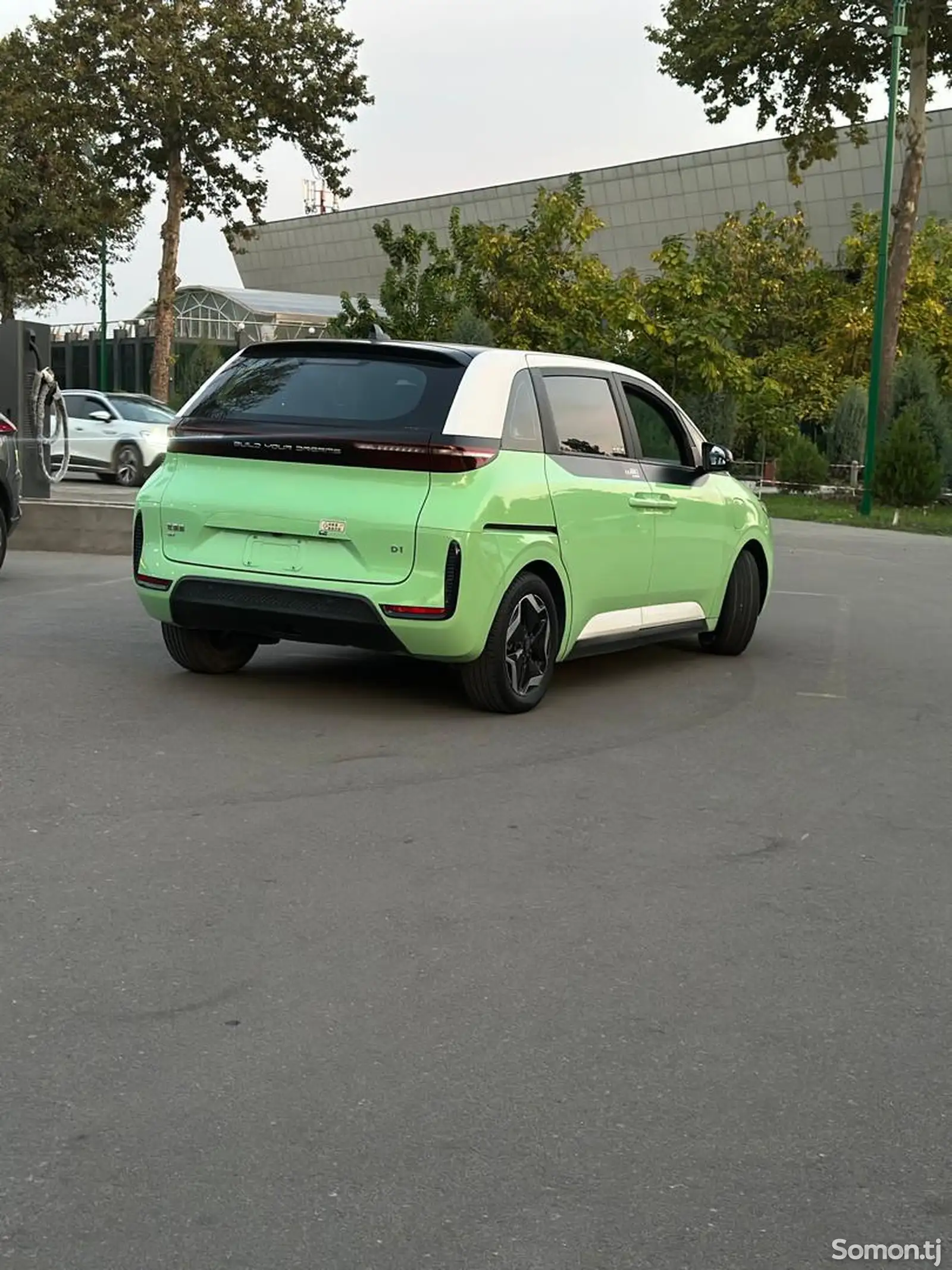 BYD Другие модели, 2021-5