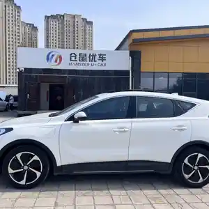 Hongqi E-HS3, 2019