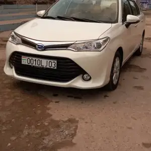 Toyota Axio, 2016