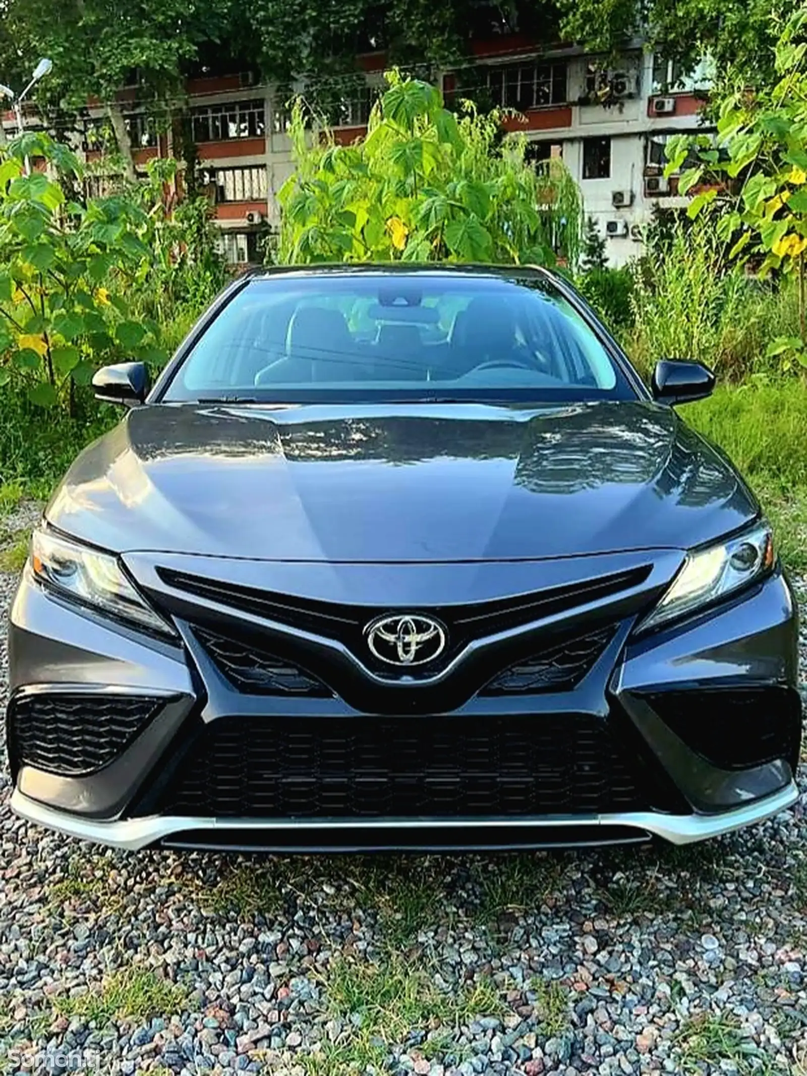 Toyota Camry, 2020-1