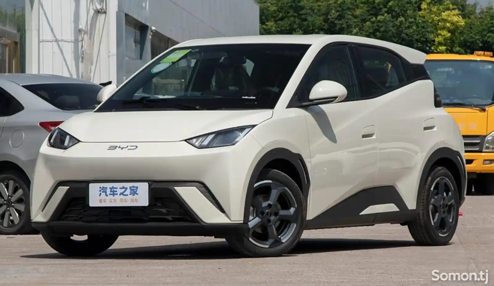 BYD Другие модели, 2024-1