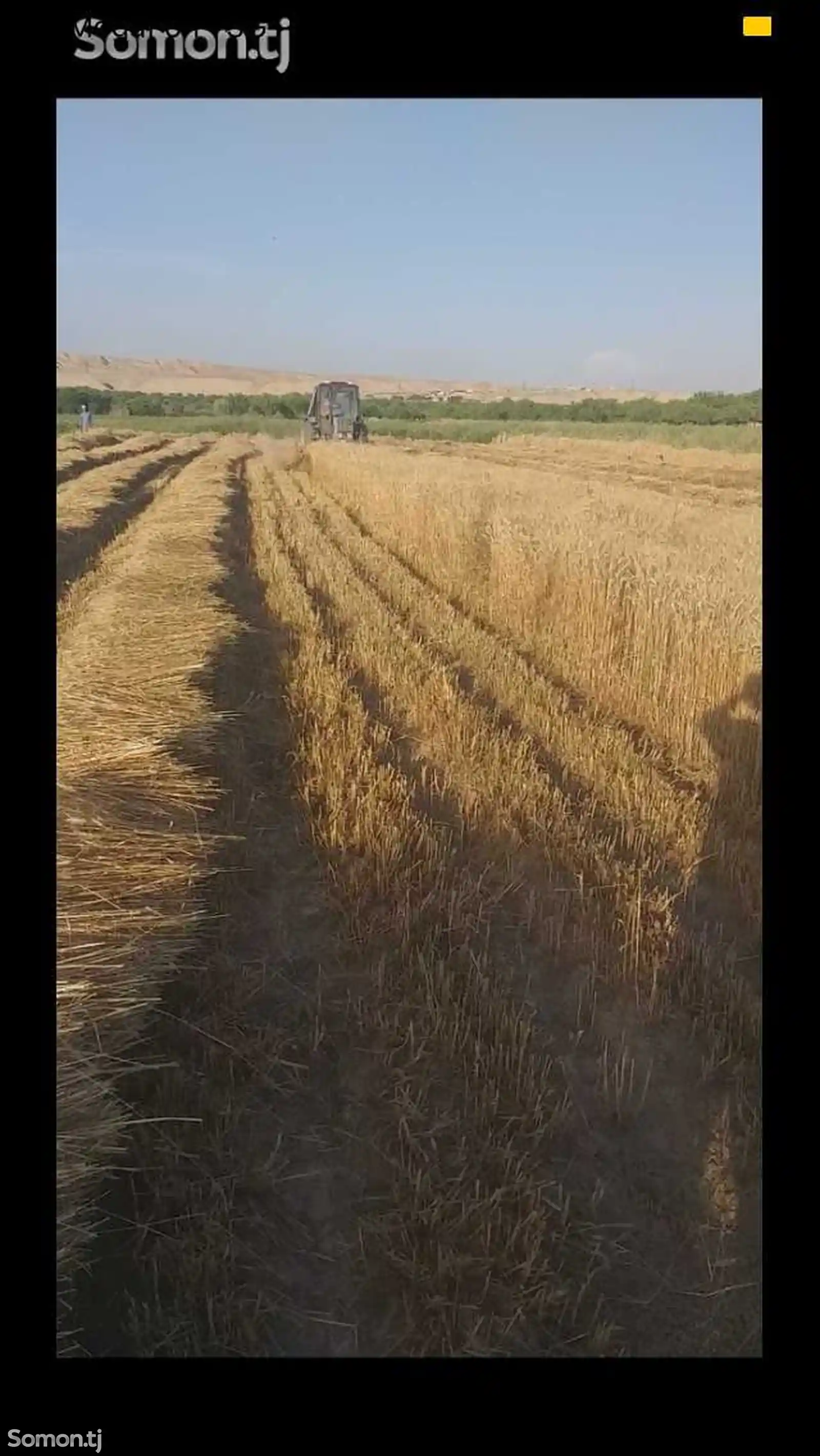 Косилка зерновая-4