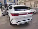 BYD Song Plus Flagship, 2024-2