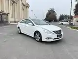 Hyundai Sonata, 2010-4