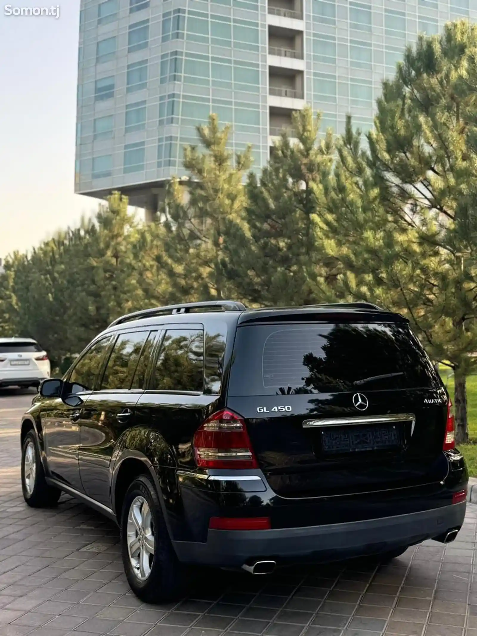 Mercedes-Benz GL class, 2007-3