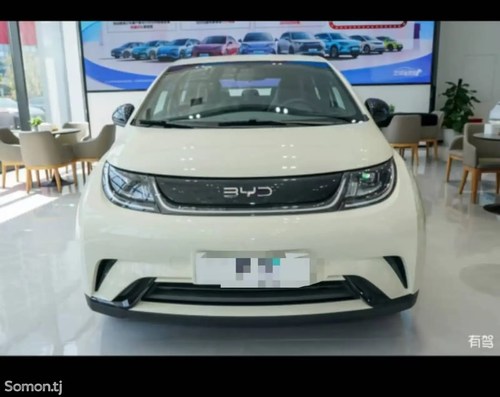 BYD Dolphin, 2024-8