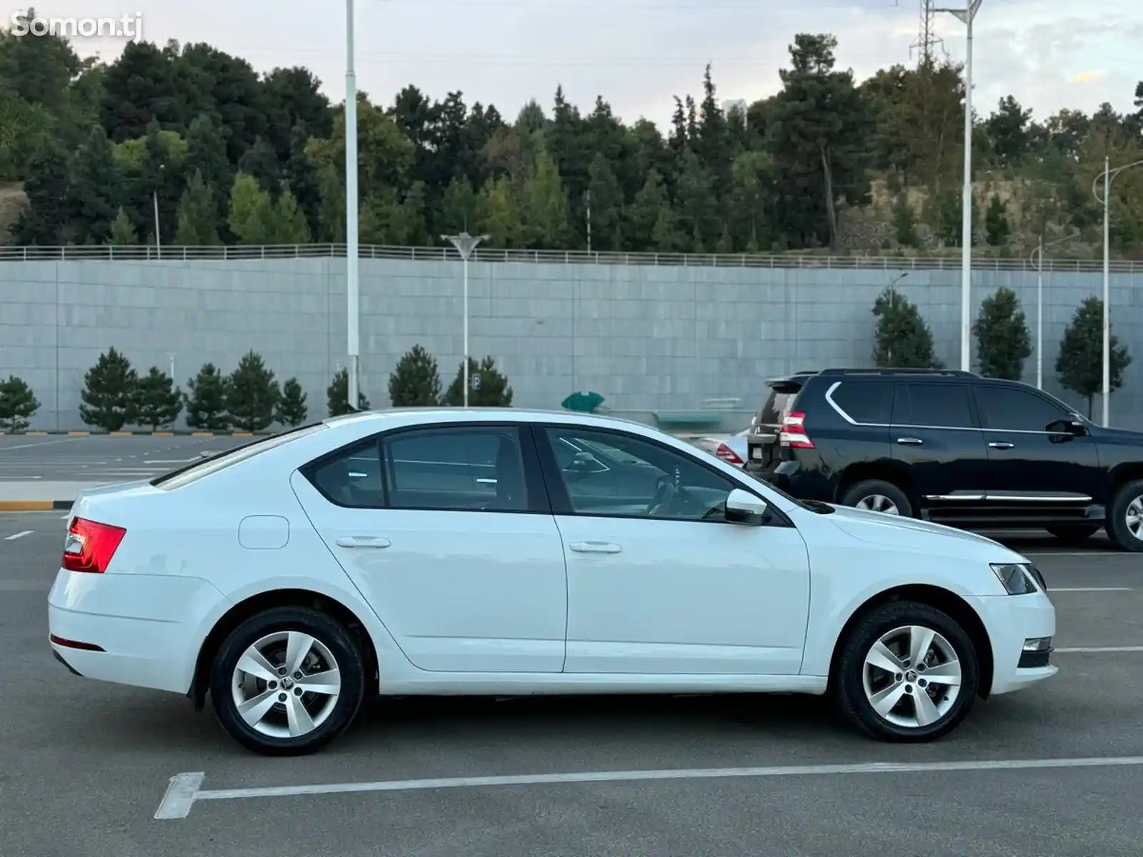 Skoda Octavia, 2019-8