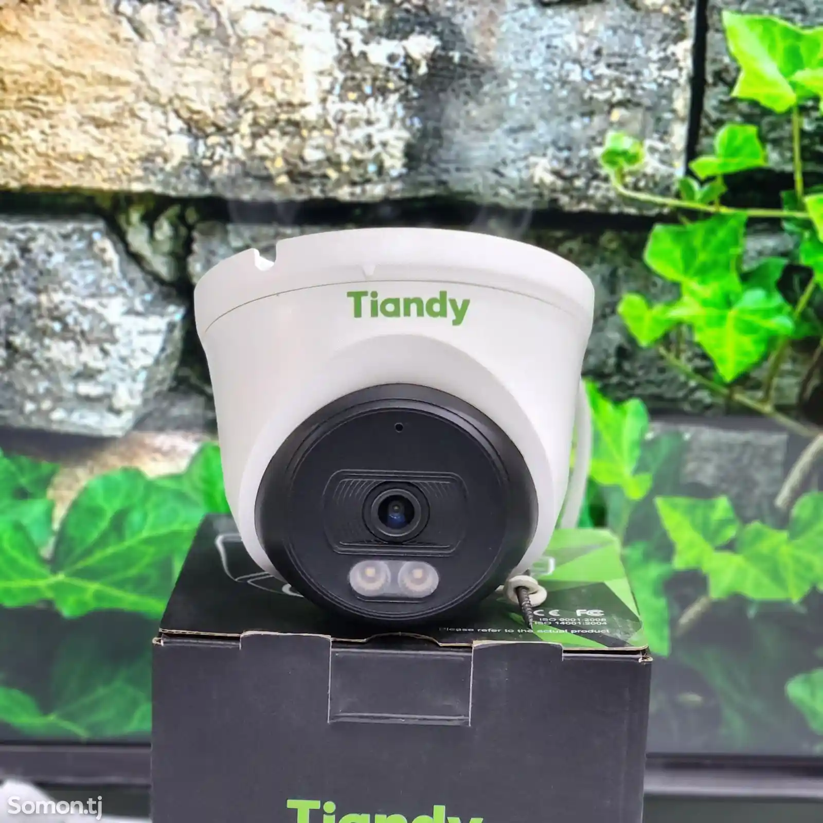 Камера купольная Tiandy IP 2MP TC-C32XN со звуком и цветное ночное изображение-2