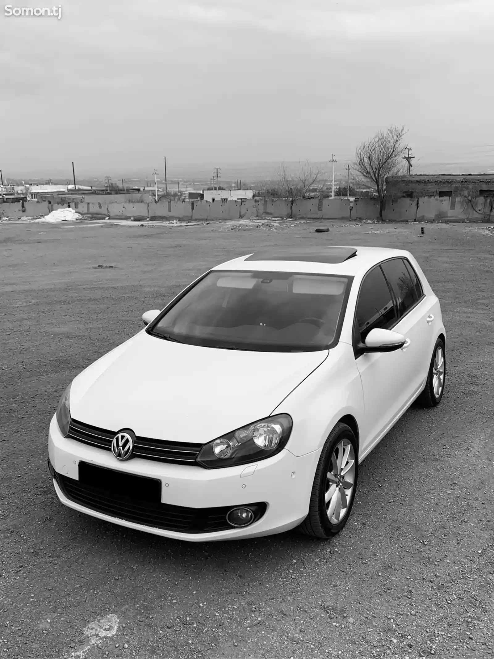 Volkswagen Golf, 2010-4