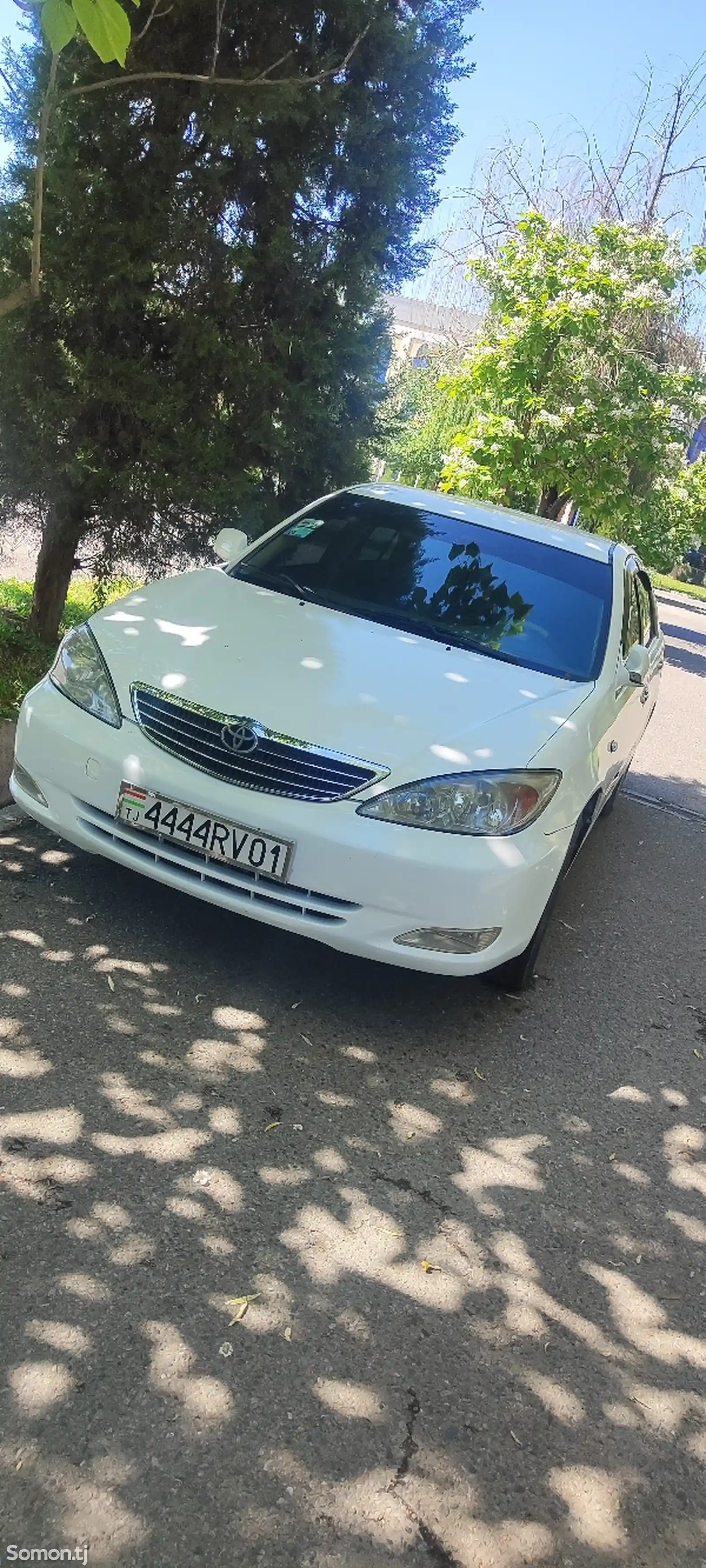 Toyota Camry, 2004-6