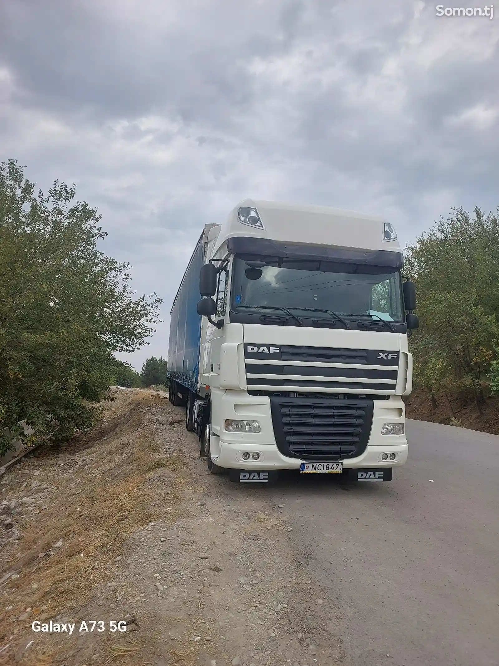 Грузовой грузовик DAF XF 105/460, 2011-2