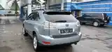 Lexus RX series, 2008-5