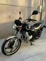 Мотоцикл Honda ruining 125 cc-2