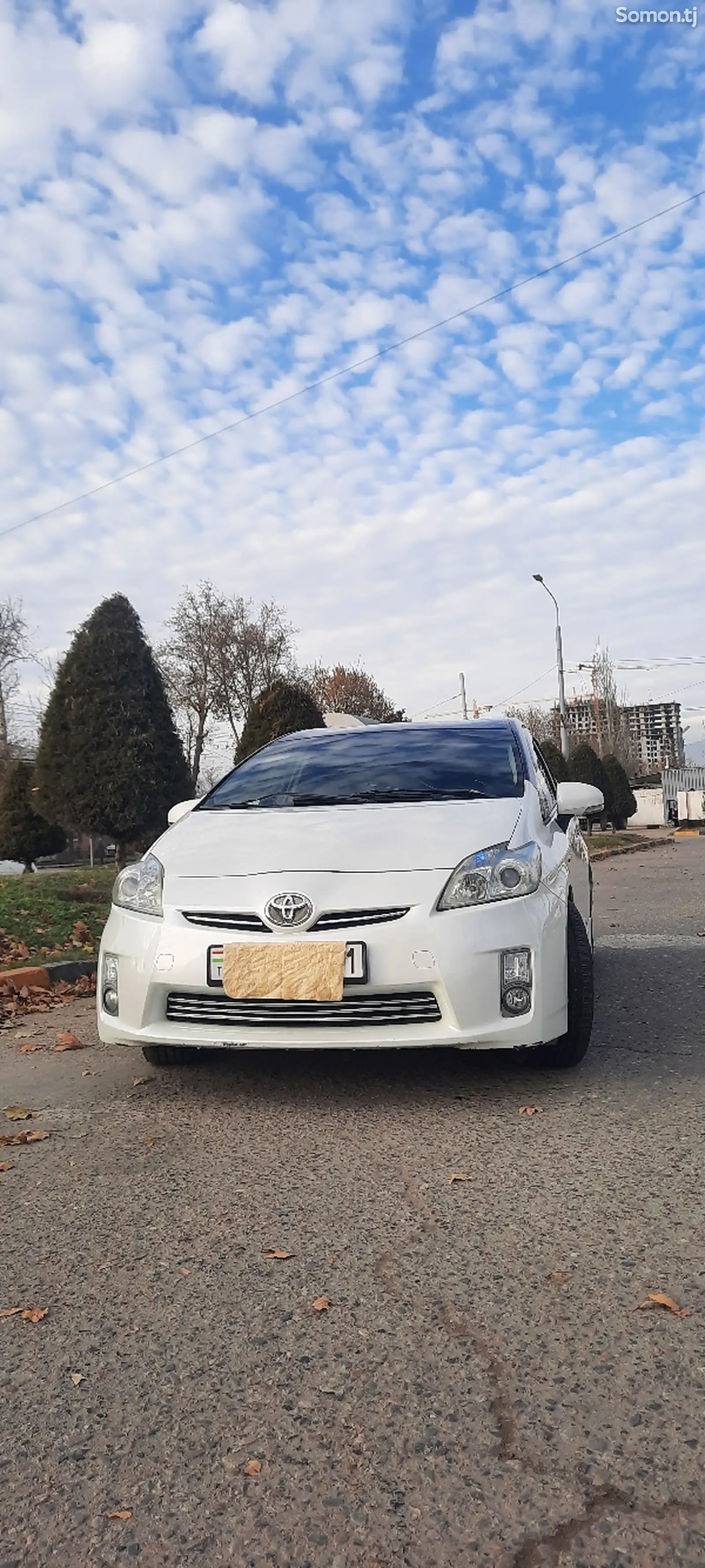 Toyota Prius, 2010-1