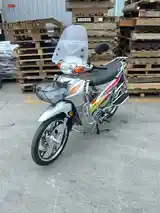 Утка GLX-SUZUKI-125cc куба-10