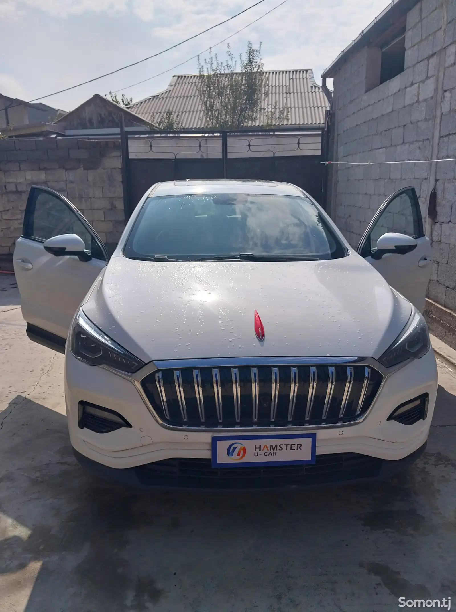 Hongqi E-HS3, 2019