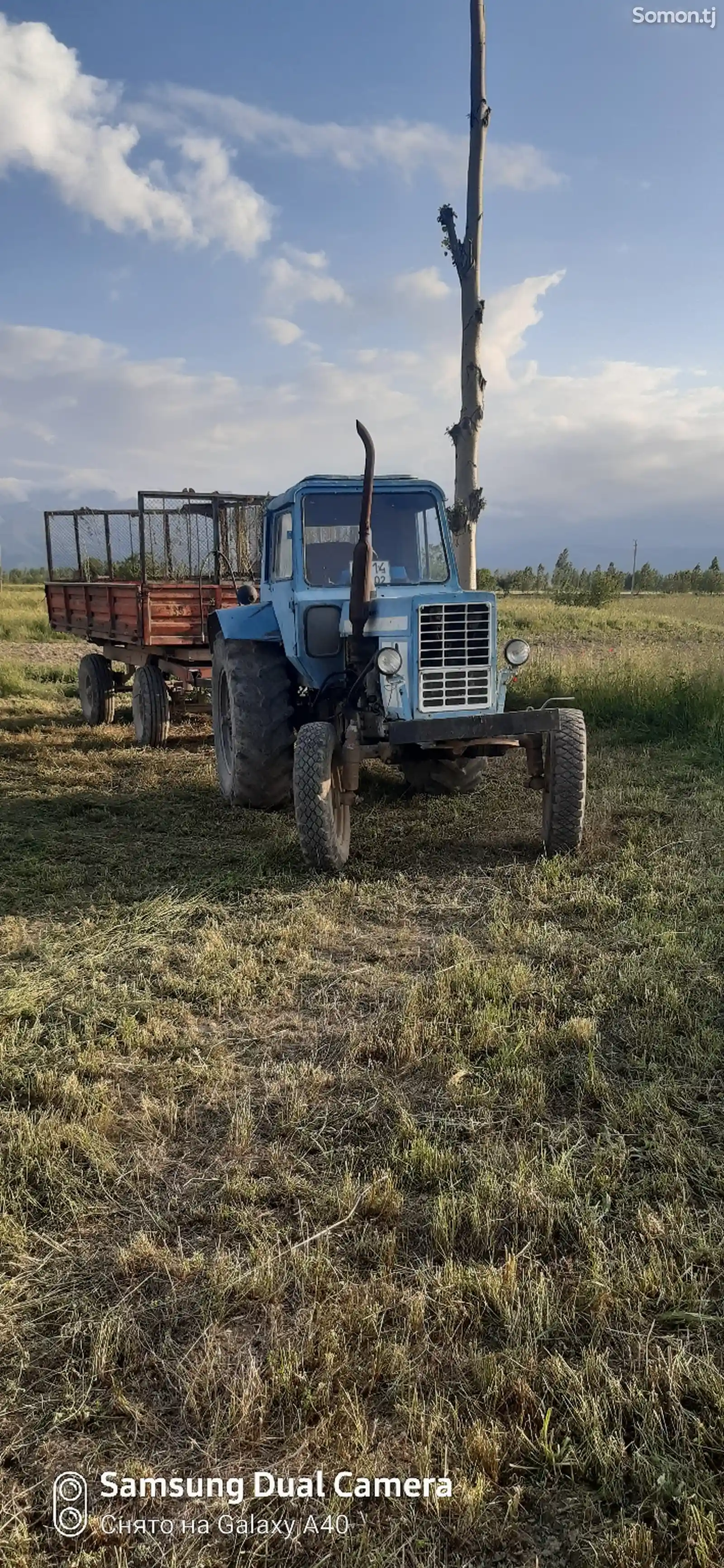 Трактор Мтз 80-2