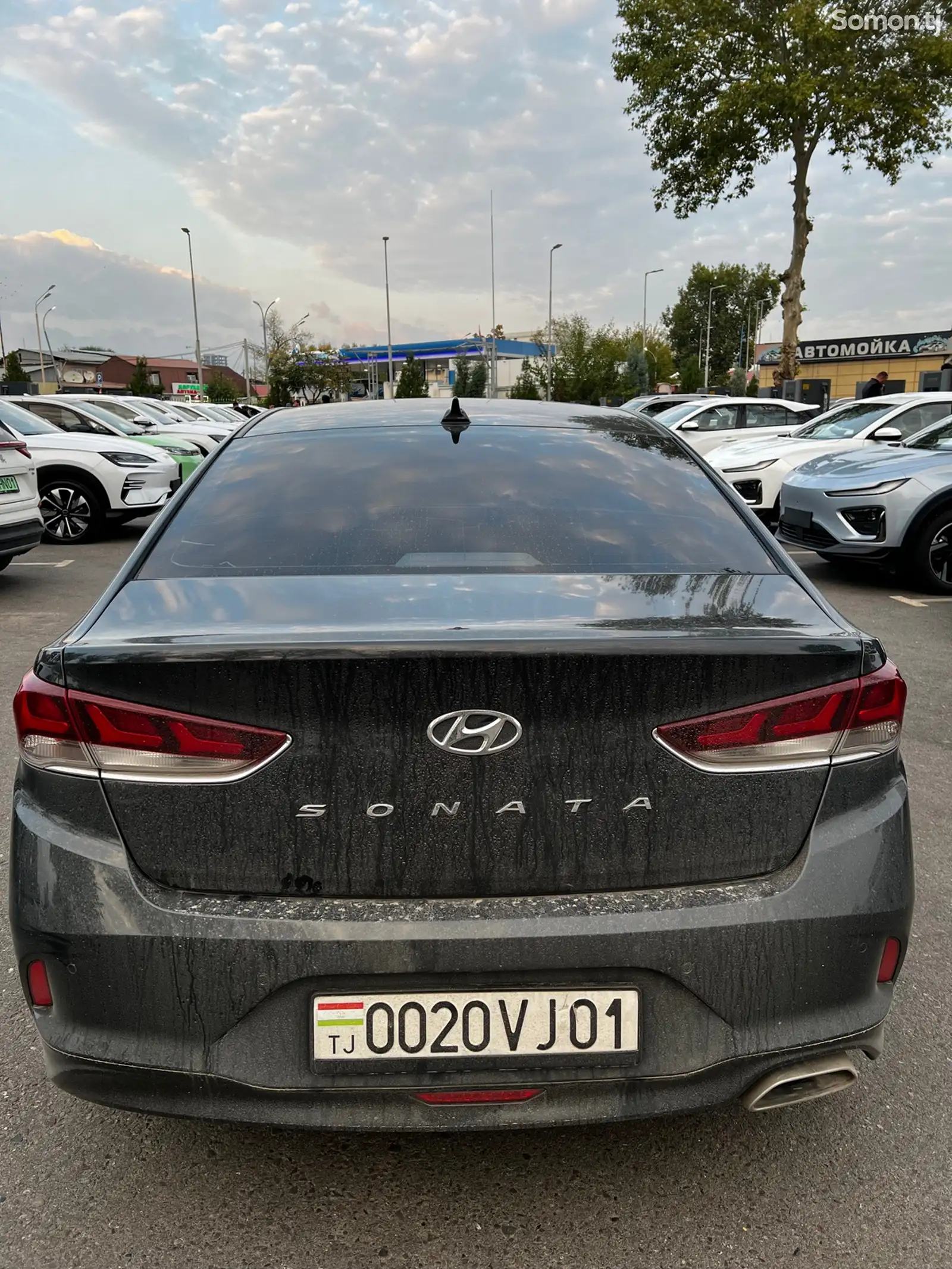 Hyundai Sonata, 2019-8