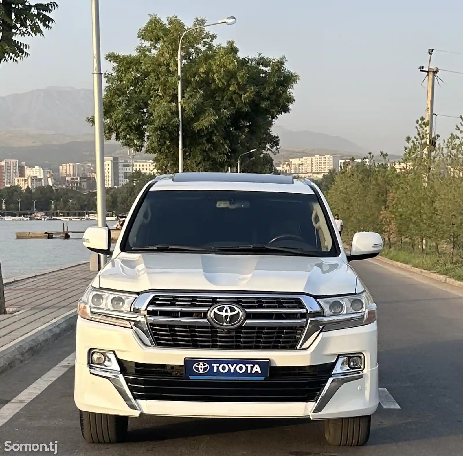 Toyota Land Cruiser, 2010-1