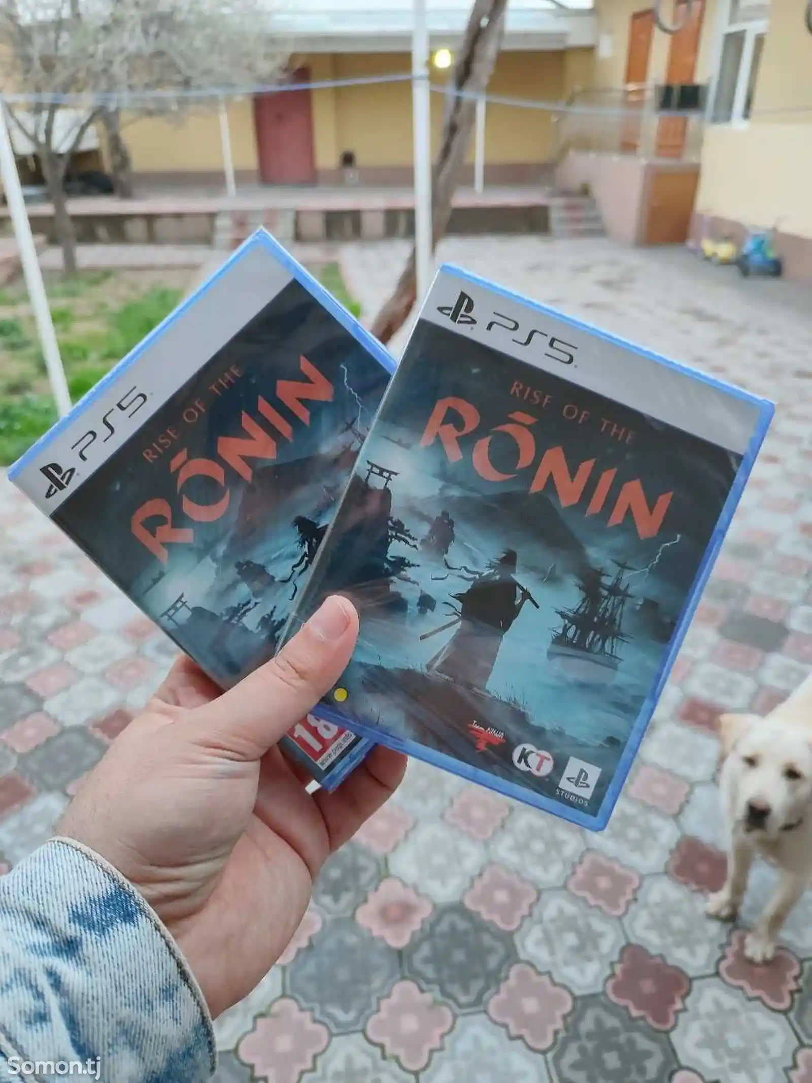 Игра диск Rise of the Ronin PlayStation 5