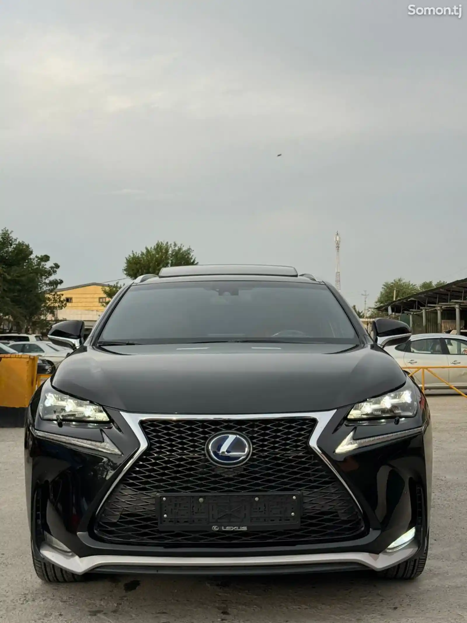 Lexus NX series, 2019-16