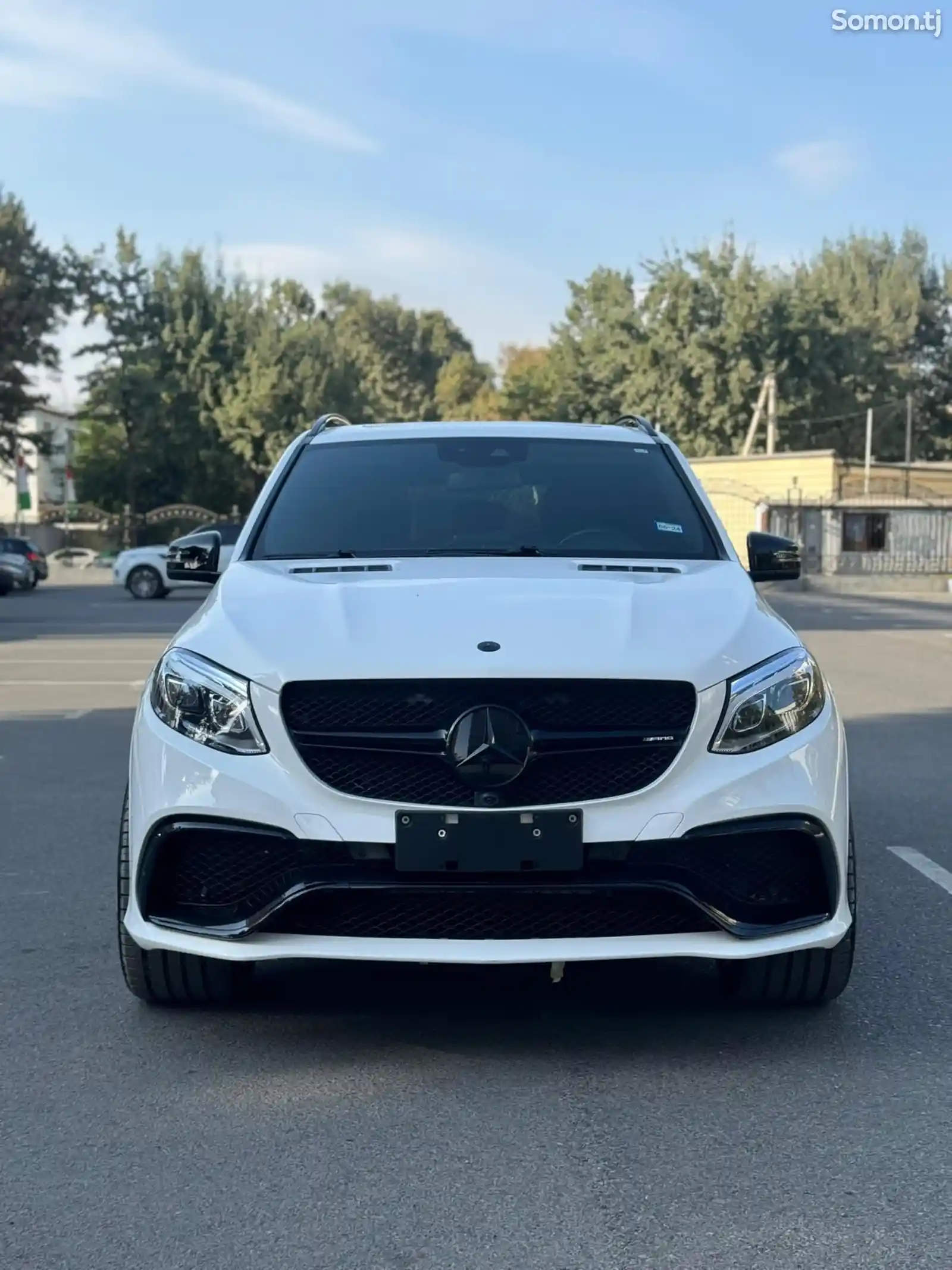 Mercedes-Benz GLE class, 2016-5