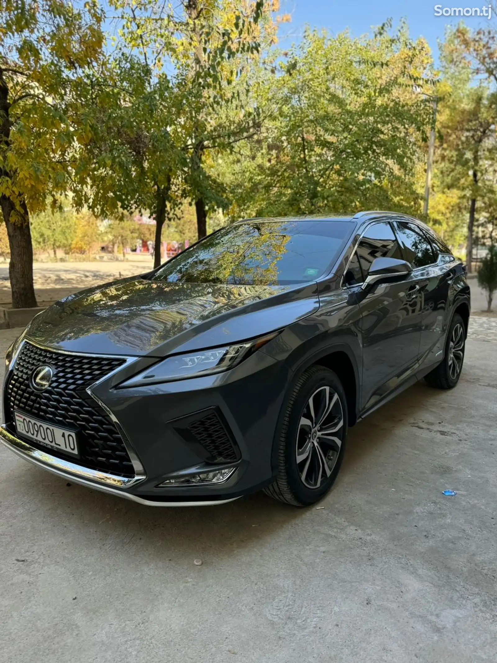 Lexus RX series, 2019-1