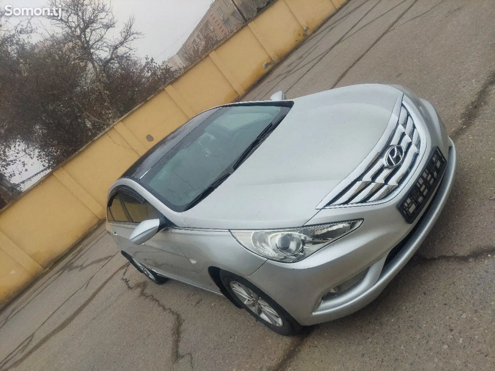 Hyundai Sonata, 2010-1