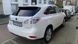 Lexus RX series, 2010-9