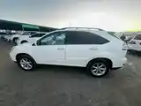 Lexus RX series, 2009-6