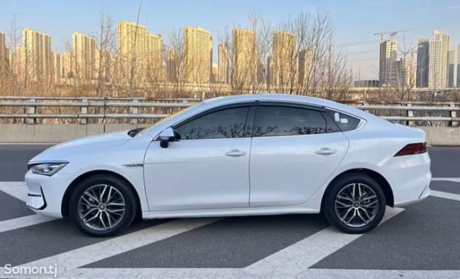 BYD Qin Plus, 2021-1