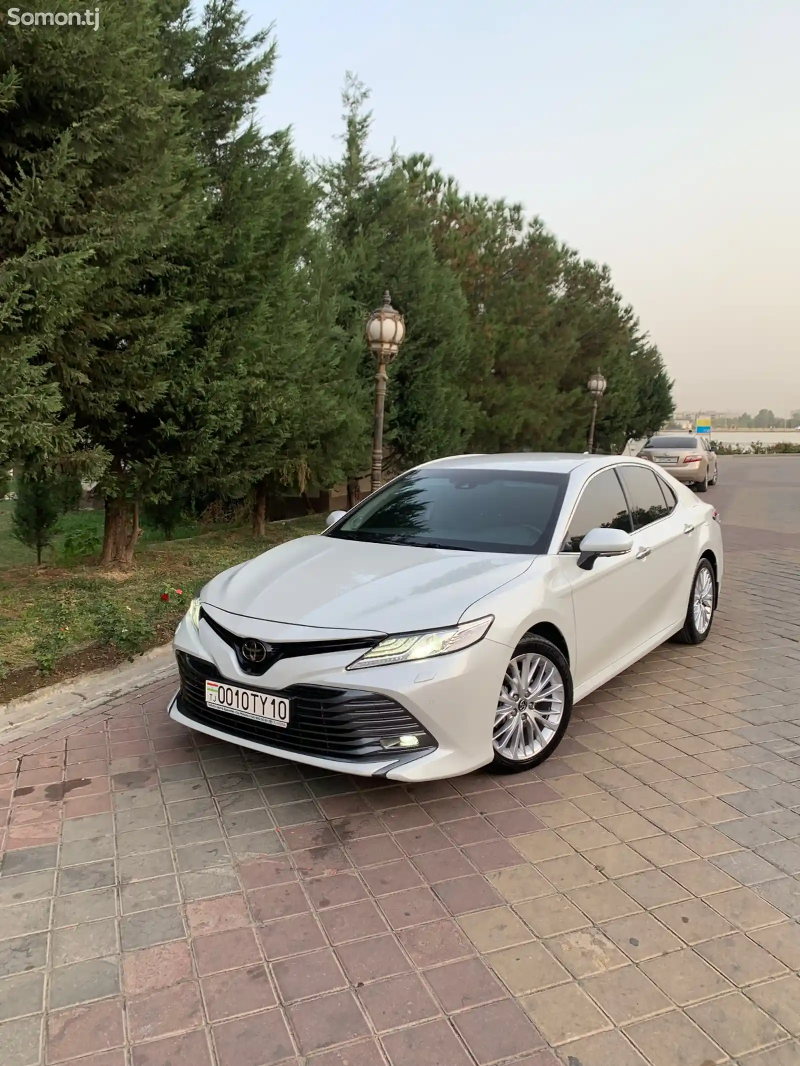 Toyota Camry, 2019-1