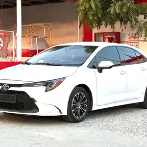 Toyota Corolla, 2020